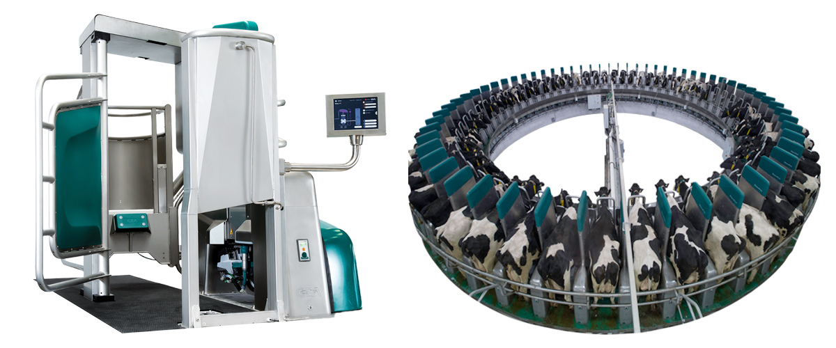 GEA Dairy Robot